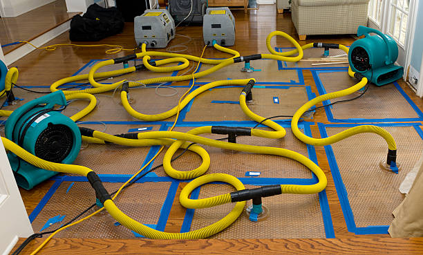Professional Burst Pipe Water Damage technician working in Delaplane, VA